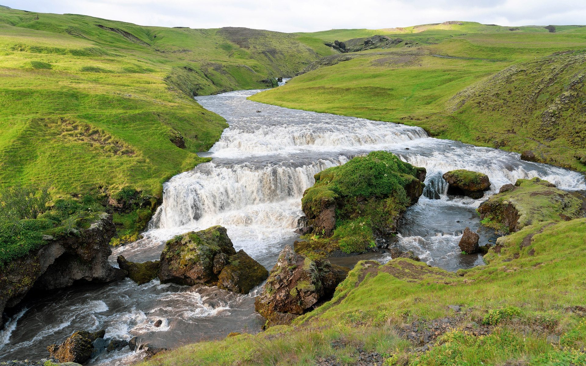 الشيخ احمد شقرون